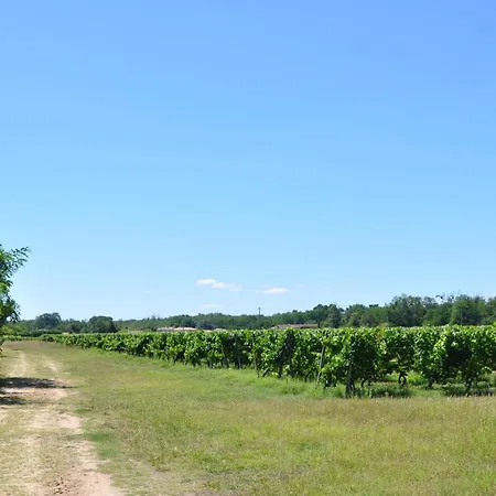 Clos San Gianni 3* Pujols-sur-Ciron