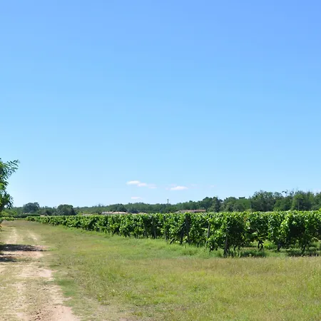 Clos San Gianni 3* Pujols-sur-Ciron